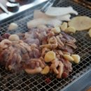 오리79
