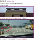 목련초등학교 이미지