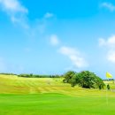 대자연카서비스 | 괌 CCP 골프 완벽 가이드 🏌️ 골프추천 1순위! 대자연 속 괌 골프 성지에서 즐기는 특별한 라운딩