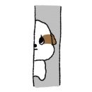 아이봄 동물병원 네이버블로그