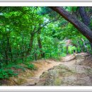 둘레길7구간 이미지