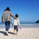 세화초등학교 병설유치원 이미지