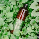 유안재 | [ 하츠맘의 기초화장품 추천 ] 유안재 어성초 앰플 &amp; 유안재 어성초 토너 사용 후기♥