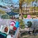 월계로2 | 북서울꿈의숲 피크닉 장소 추천과 준비물 후기 정리