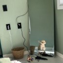 무릉복지회관 | [삼척/반려견동반] 온·오프 스테이 _ 동반펜션