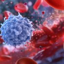 only one P.T fitness 이미지