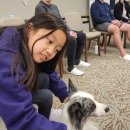 11/28(금)/MIRAVO 호텔(MA)/스파/성경/개 쇼 이미지