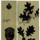 박성철농장 이미지