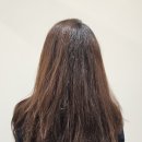 정성헤어 이미지