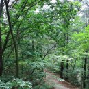 불암산로 이미지