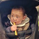 고건오의티라미슈 이미지