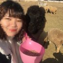 햇살복집 | 남해 여행 (당일치기)