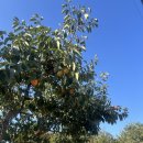 용봉산주차장 - 좌 | 블랙야크 100대 명산 충남 홍성 [용봉산]