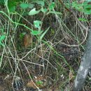 신흥로 45번길 이미지