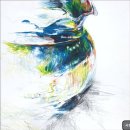 홍대앞사람인미술학원 | [서울 서초구 입시학원 추천] 사람인미술학원 강남점 서울 서초구 사람인미술학원 추천