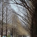 고원 경로당 이미지