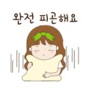 노엘커피 - 평창군 태기로 278 | 노엘커피
