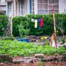 동해 구 삼척개발 사택과 합숙소 이미지