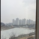 시흥 물왕호수뷰 일식집 제주마꼬또 후기