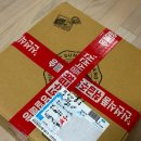 파네토네제과점 | 성심당 크리스마스빵 파네토네 &amp; 슈톨렌 택배 배송 후기 (배송기간/가격/사이즈/맛)