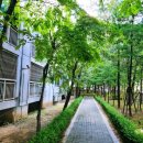 용종마을중앙아파트 앞(계양코아루 방면) | 임학역 아파트. 계산택지 임장다녀왔습니다. 학마을 용종마을 아파트 부동산 투자 공부 중