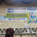 저팔계쇠고집