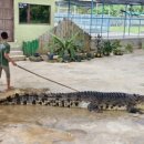 다상농장 이미지