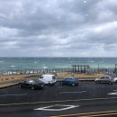 바움하우스 이미지