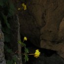중부-현장-중부-882 | 백두대간산행기 6차 한계령~대청봉~마등령~설악동(북진)