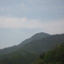 대야농장 이미지