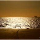 엘리제를 위하여 이미지