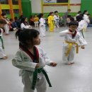 참멋태권도 이미지