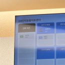 영등포 동물병원 | 영등포 동물병원 동물의료센터24인치 X-ray 초음파...인대 부분단열 기관지 협착증 의심 검진 받은 후기