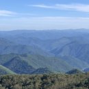 대우식육점 이미지