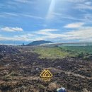 토우부동산공인중개사사무소 이미지