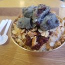 쉬자트리하우스 이미지