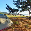 명품소나무길 이미지