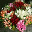 황제고물상 이미지