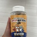 멍냥펀치 이미지