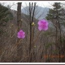 호명호수(정상) 이미지