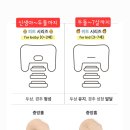[마감] 강산들X아이누오 두상베개🧸