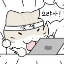 고양이묭실 이미지