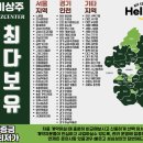 응용 소프트웨어 개발 및 공급업