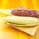 노란옥수수 이미지