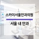 스카이서울안과의원 네이버블로그