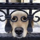 하도리별장 | 어쩌다 보니 3박 4일 제주 가족 여행기 왕 방 갑서