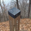 늠내길 1코스 숲길 이미지