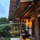 고택 수련 이미지