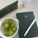 한결보쌈 수유점 | [일상] 25년 12월 한달일기