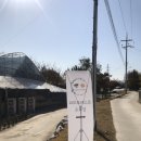 퍼피포레스트 이미지